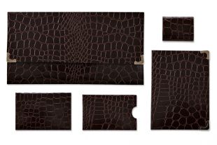 Etui »Kroko-Braun« mit Inhalt