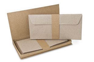 »Design-RC® Fenix« Briefbox DIN lang grau/braun