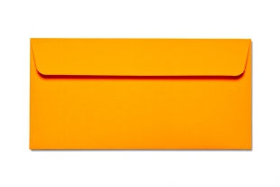 Hülle DIN lang, mit Fenster »Neon-Außendruck orange«