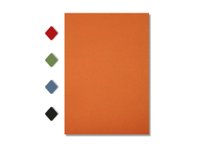 »Offset farbig« Organisator