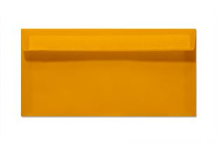 Transparenthülle DIN lang, orange/mango